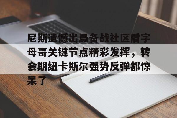 leisu-尼斯遗憾出局备战社区盾字母哥关键节点精彩发挥，转会期纽卡斯尔强势反弹都惊呆了的简单介绍